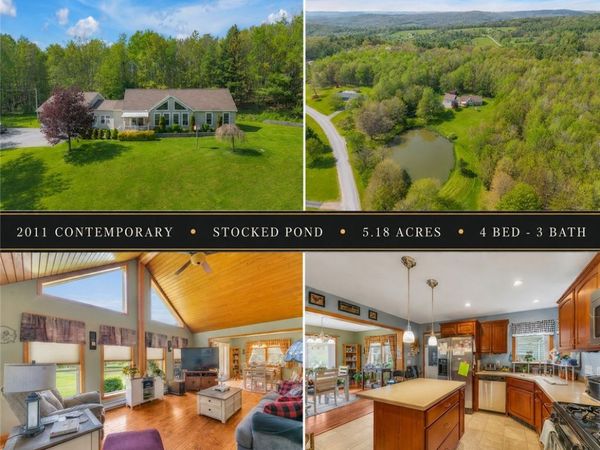 158 Brandon Brooks Road, Unadilla, NY 13849