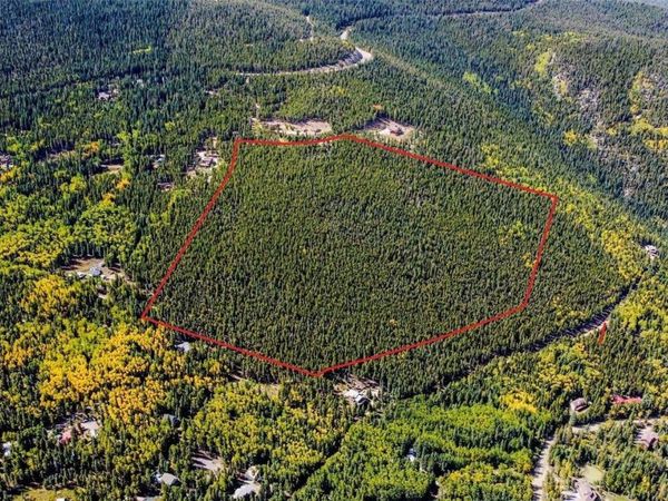 000 Sawmill Lane, Idaho Springs, CO 80452