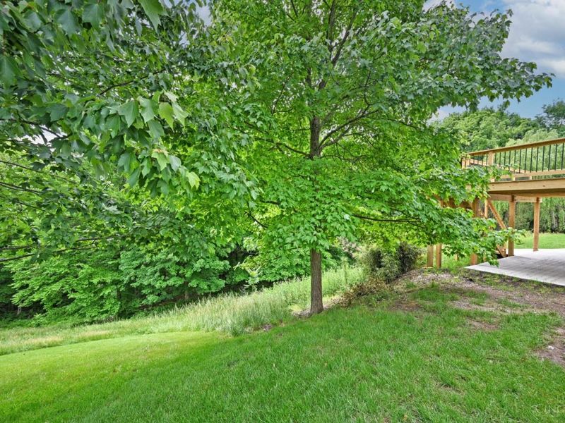 3130 Wolf Run Court, Anderson Twp, OH 45244 Photo 75