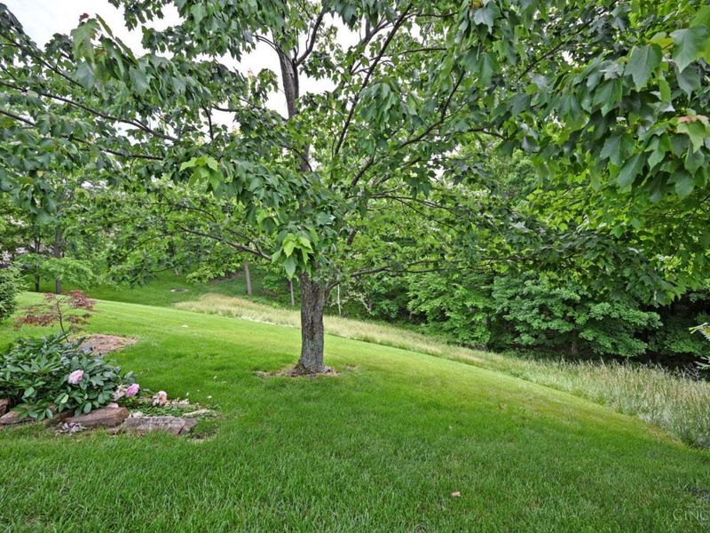 3130 Wolf Run Court, Anderson Twp, OH 45244 Photo 77