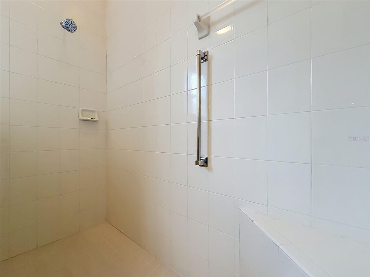 3600 Mount Hope Loop , Leesburg, FL 34748 Photo
