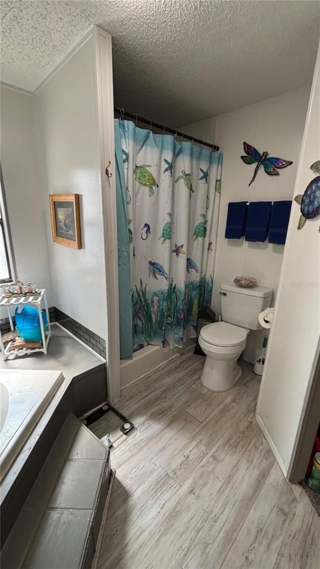 14902 NE 142nd Street, Waldo, FL 32694 Photo
