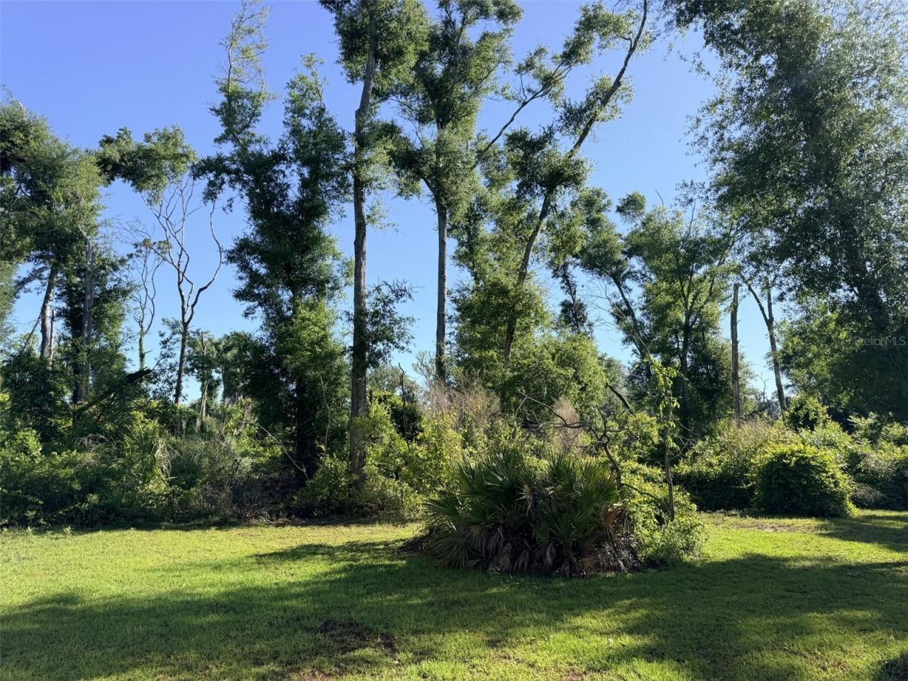 794 NE 521 Street , Old Town, FL 32680 Photo