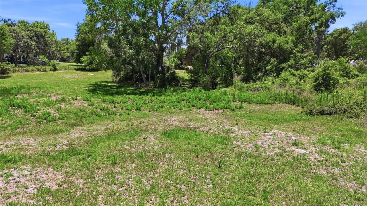 3915 S Spaniel Trail, Inverness, FL 34450 Photo
