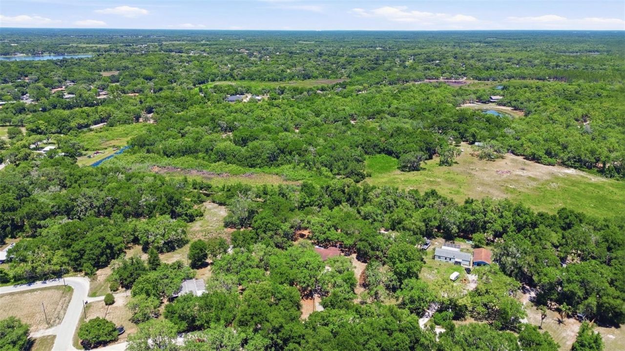 3915 S Spaniel Trail, Inverness, FL 34450 Photo