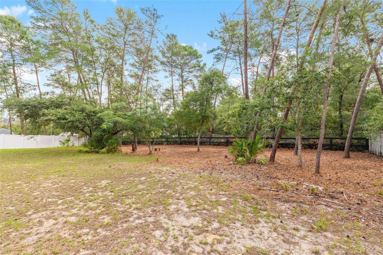 10877 SW 45th Court , Ocala, FL 34476 Photo