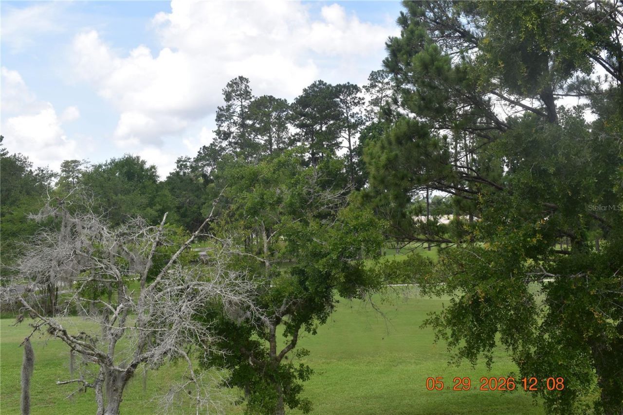 5081 Delacroix Drive, Brooksville, FL 34604 Photo