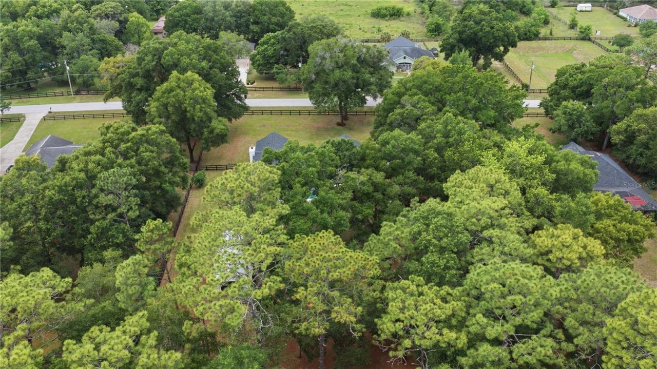 3251 SW 56th Avenue, Ocala, FL 34474 Photo