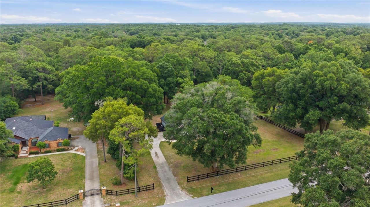 3251 SW 56th Avenue, Ocala, FL 34474 Photo