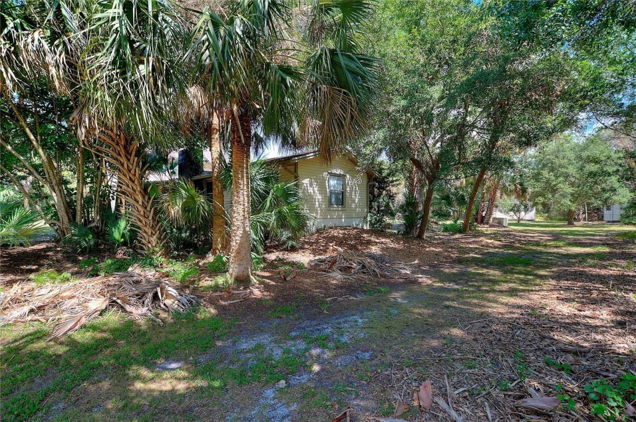 3641 Turtle Mound Road , Melbourne, FL 32934 Photo