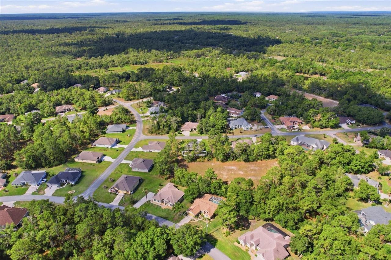 3 Stokesia Court , Homosassa, FL 34446 Photo