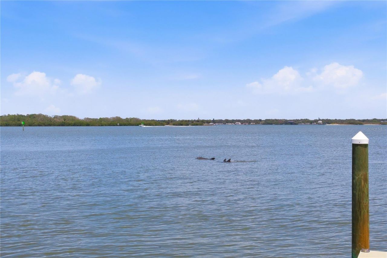 547 Johns Pass Avenue, Madeira Beach, FL 33708 Photo