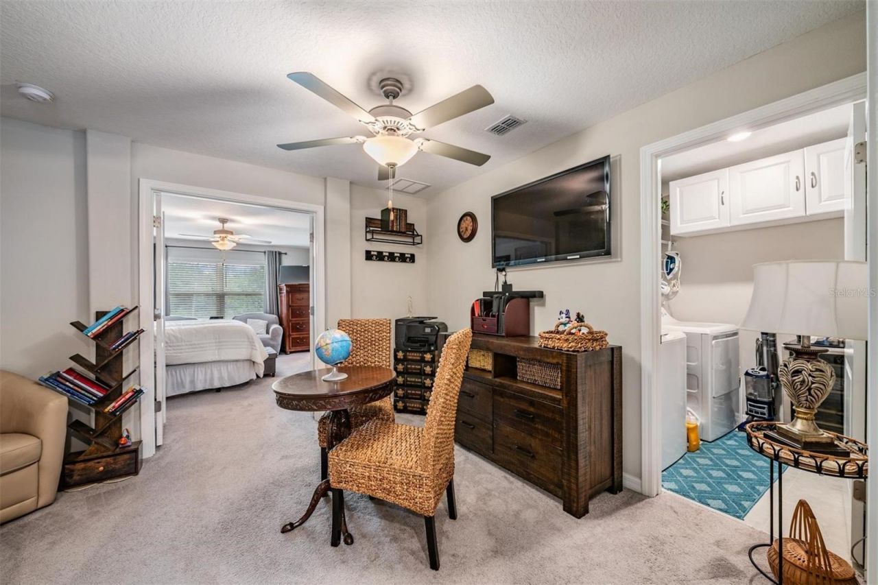 8518 Reedville Street , New Port Richey, FL 34654 Photo