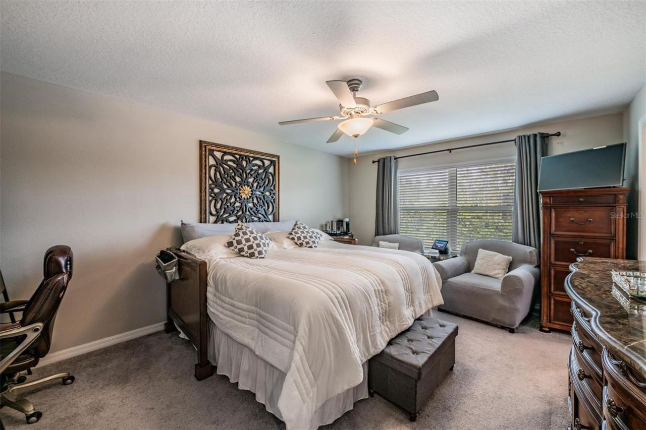 8518 Reedville Street , New Port Richey, FL 34654 Photo