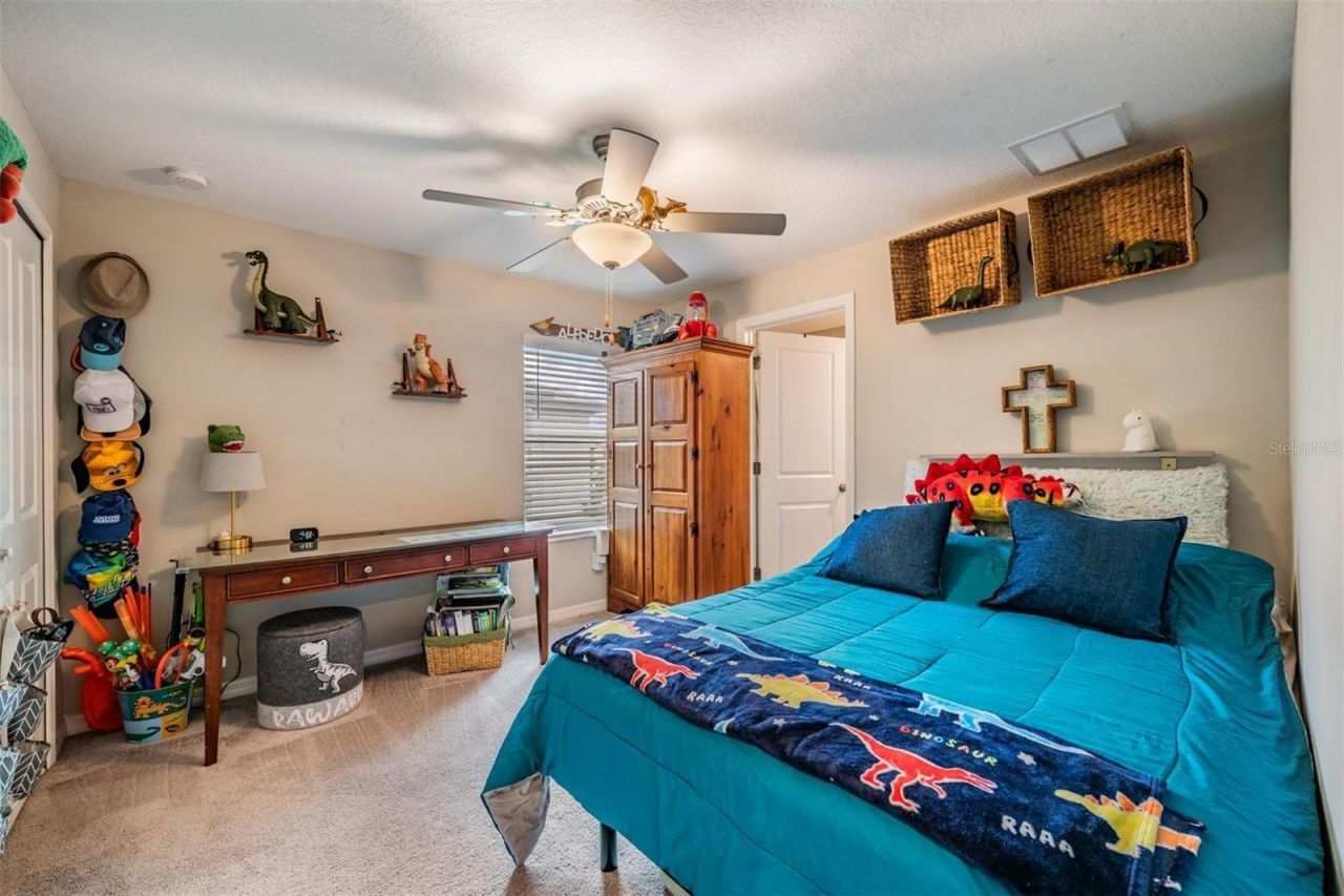8518 Reedville Street , New Port Richey, FL 34654 Photo