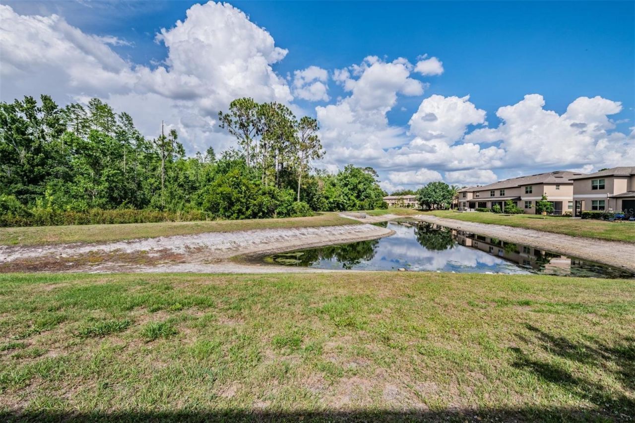 8518 Reedville Street , New Port Richey, FL 34654 Photo