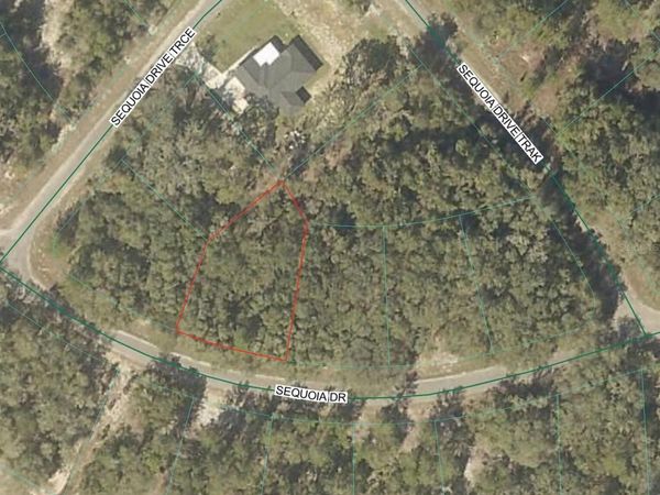 SEQUOIA LOOP DRIVE , OCKLAWAHA, FL 32179