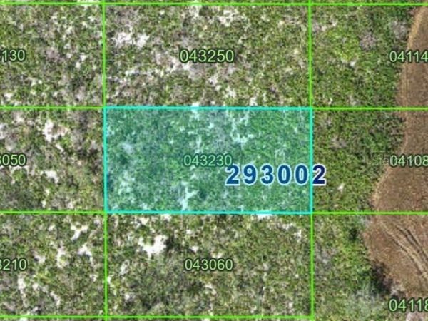 PID #29 30 02 000000 043230 , LAKE WALES, FL 33898