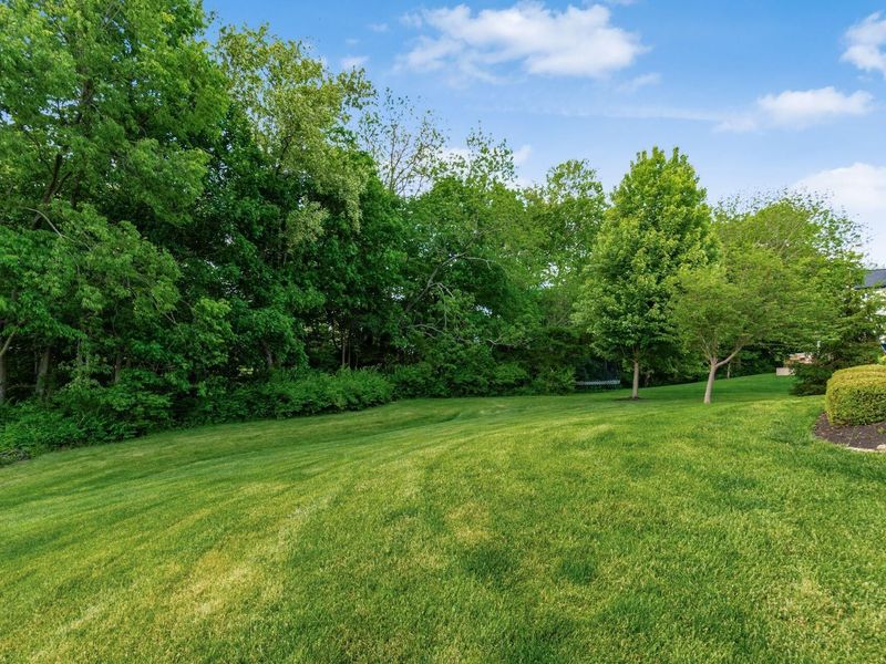 1002 Rambling Brook Way, Delaware, OH 43015 Photo 90