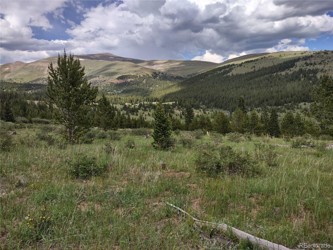 0 Snow Cap Peaks Road , Alma, CO 80402 Main Photo
