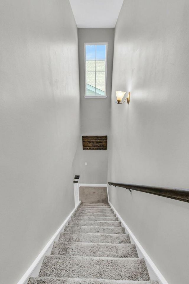 271 Palmetto Walk Drive Photo 39