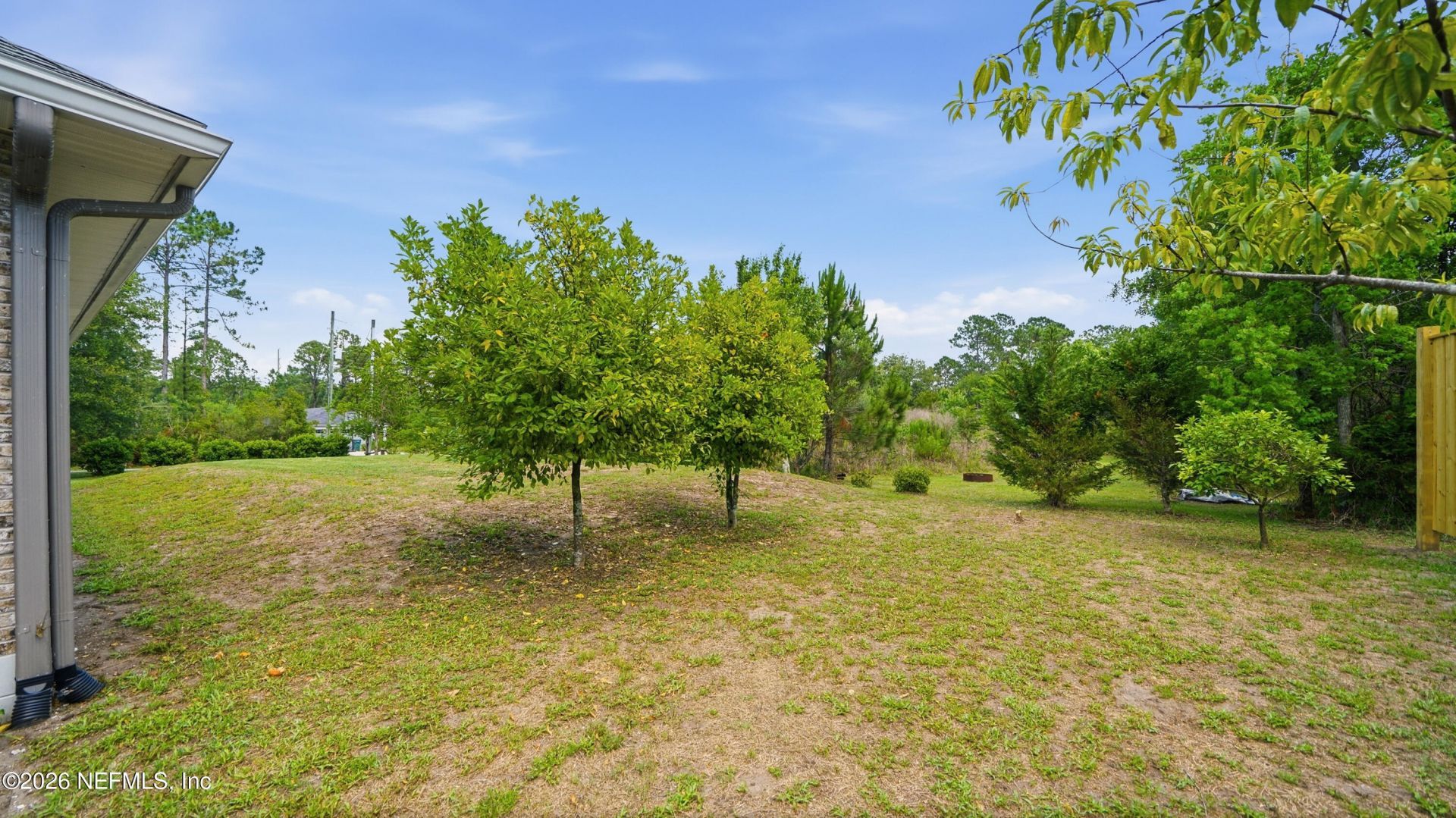 13540 Cheyne Road, Jacksonville, FL 32246 Photo