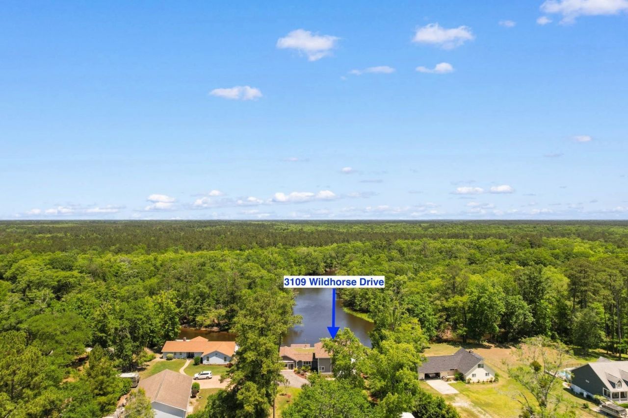 3109 Wildhorse Dr.  Photo 59