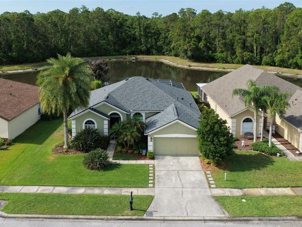 12730 TAR FLOWER DRIVE , TAMPA, FL 33626