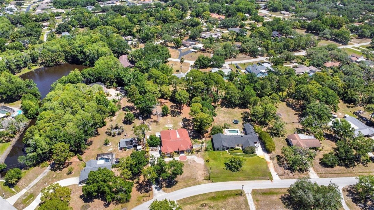 6341 Governors Drive , New Port Richey, FL 34655 Photo