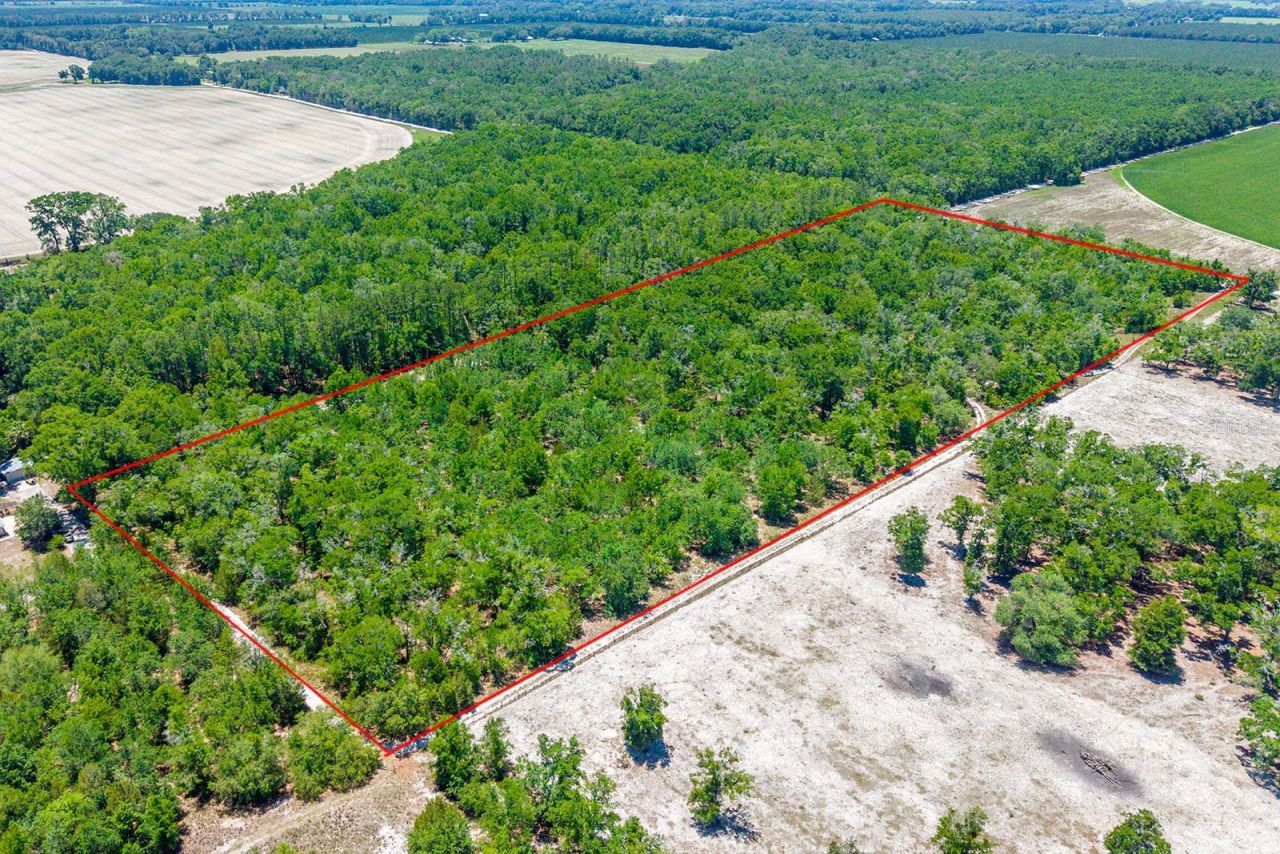 Tbd NW 40 Avenue , Bell, FL 32619 Photo