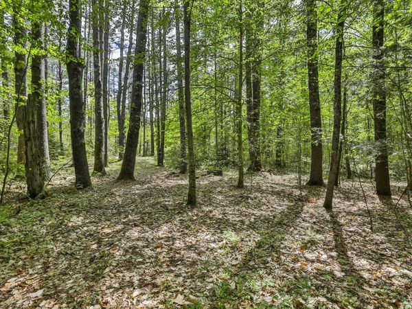2A & 2B Camp Road, Amherst, NH 03031