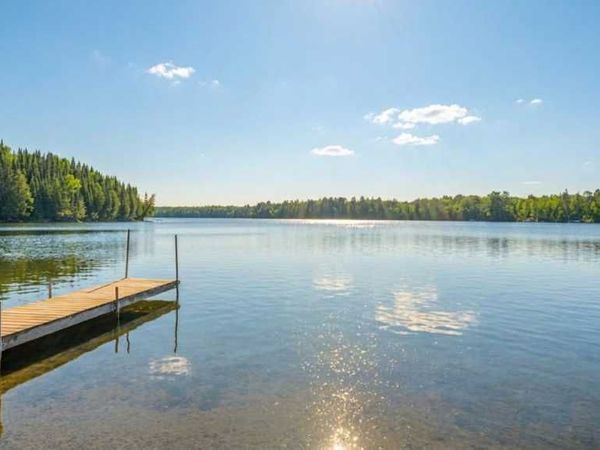 53549 Little Bear Trail , Bigfork, MN 56657