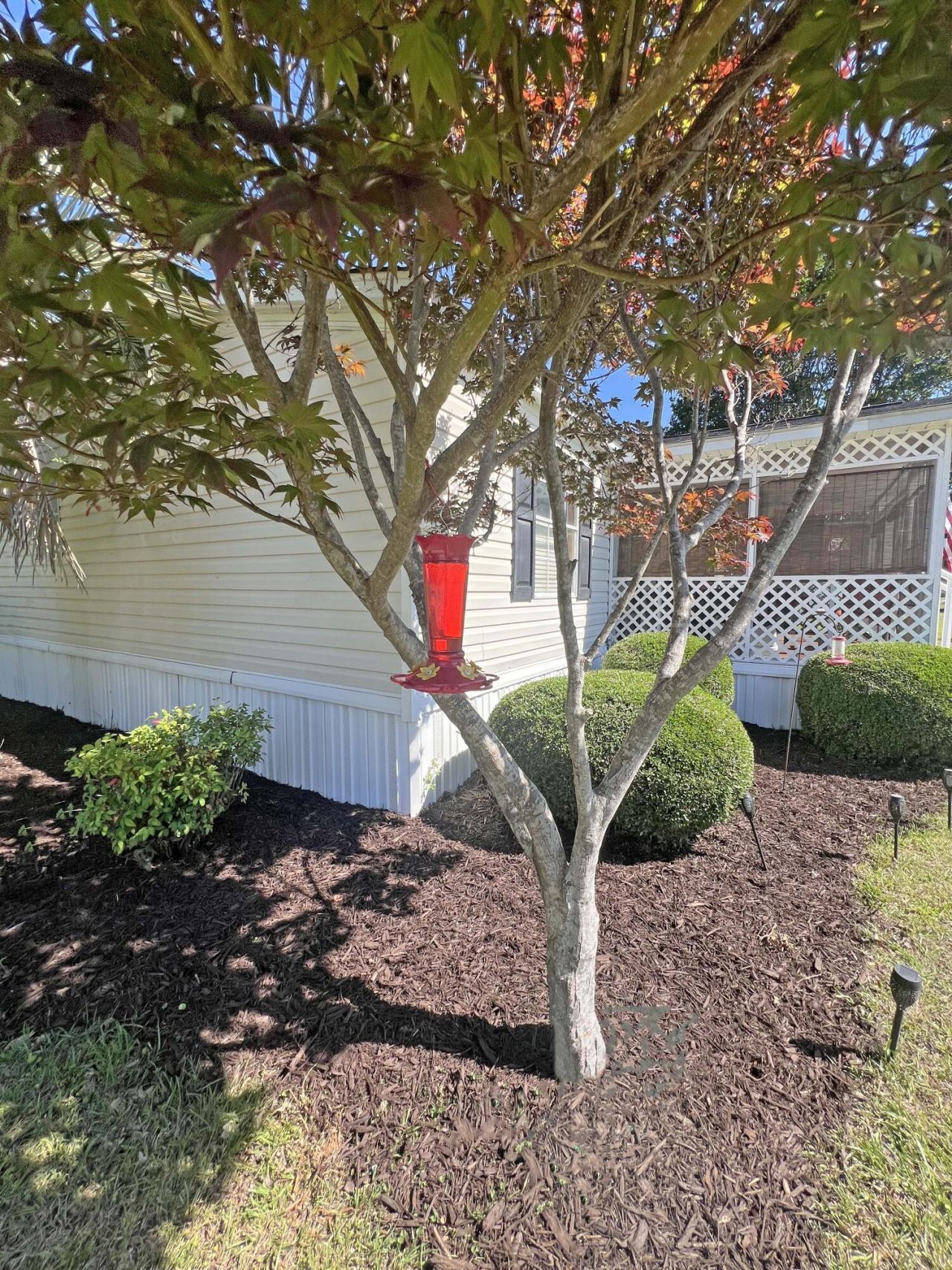 1135 Ralph Bell Road Photo 10