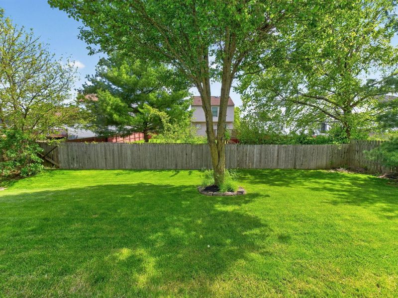 1239 Bay Laurel Drive, Marysville, OH 43040 Photo 47