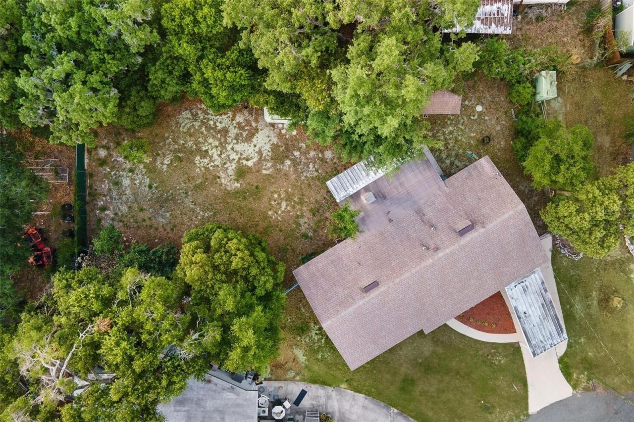 803 Carol Court , Tavares, FL 32778 Photo
