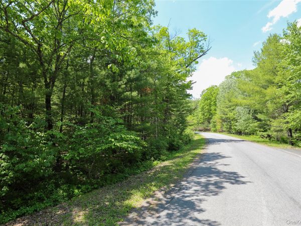 TBD Bristol Hill Road , Hurley, NY 12443