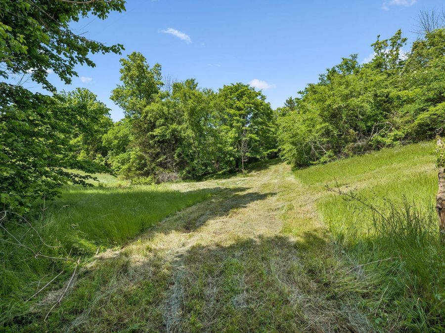Property Image 60