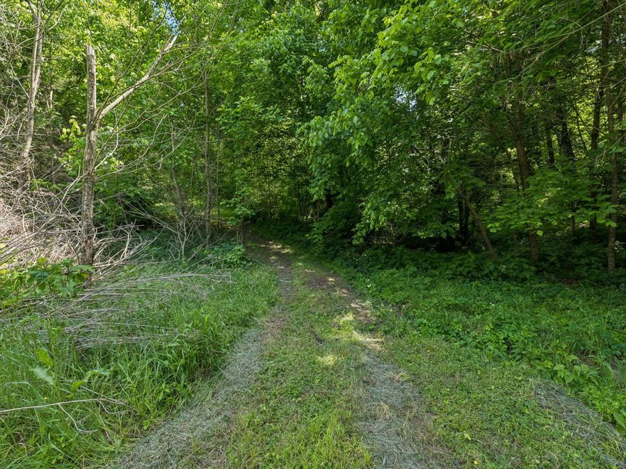 Property Image 63