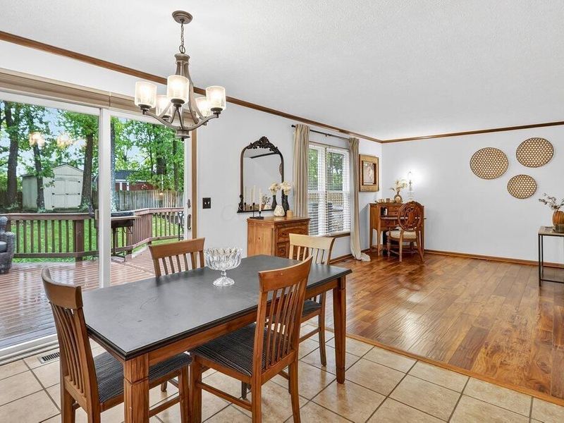 749 Barberry Spur Avenue, Delaware, OH 43015 Photo 9