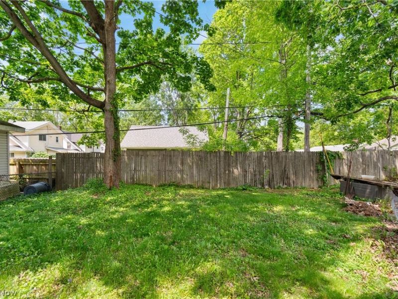 1359 Delia Avenue, Akron, OH 44320 Photo 7