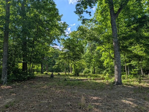 Lot 94/95 Red Oak Lane, Spring City, TN 37381