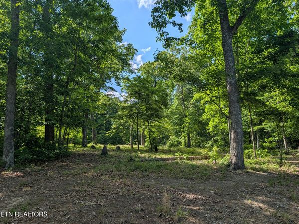 Lot 94/95 Red Oak Lane, Spring City, TN 37381