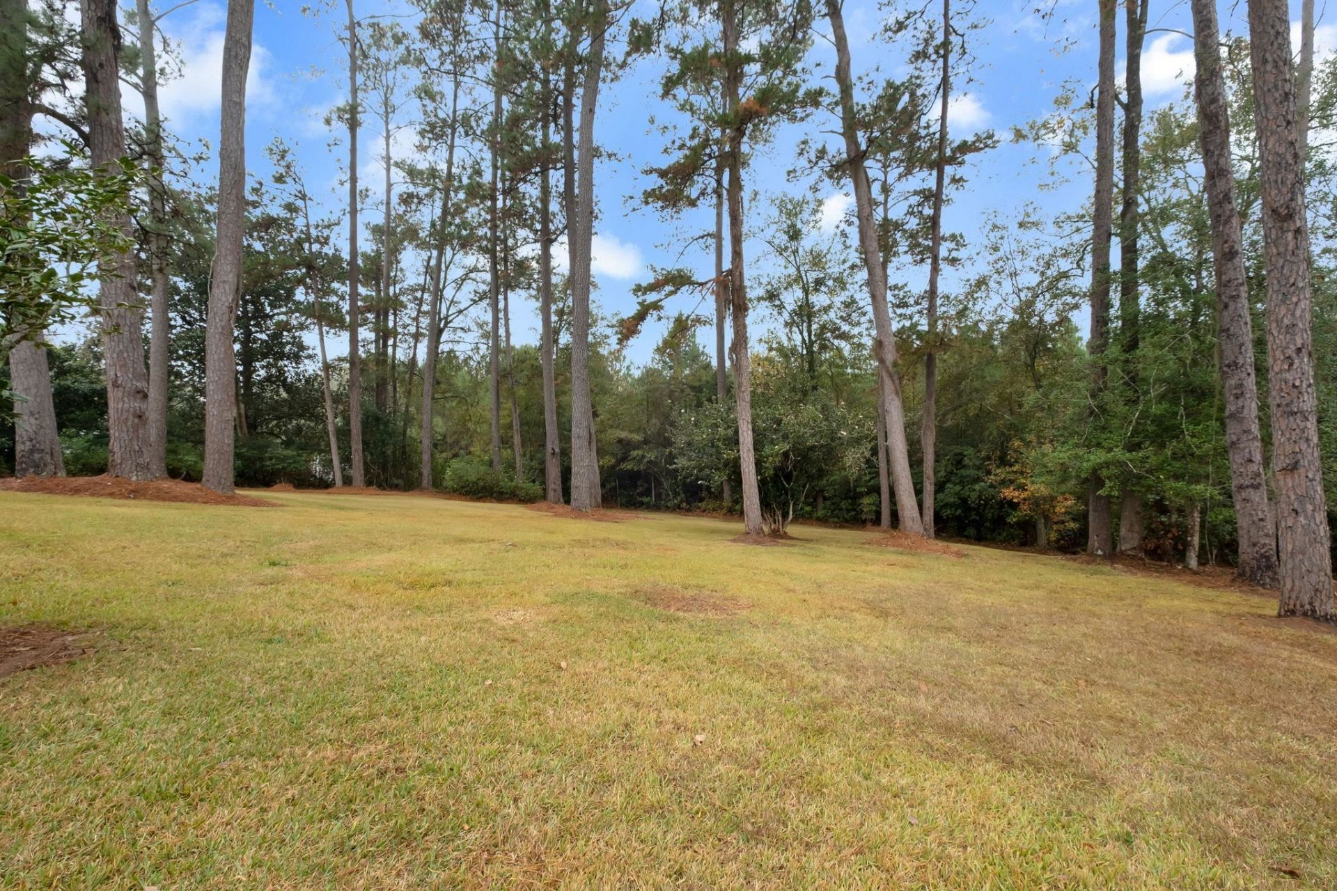 867 Attapulgus Highway , Quincy, FL 32352 Photo