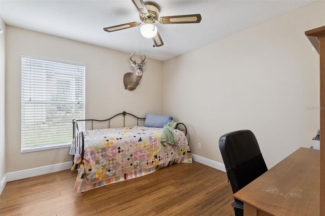 3883 Kingston Oaks Cove, Oviedo, FL 32765 Photo
