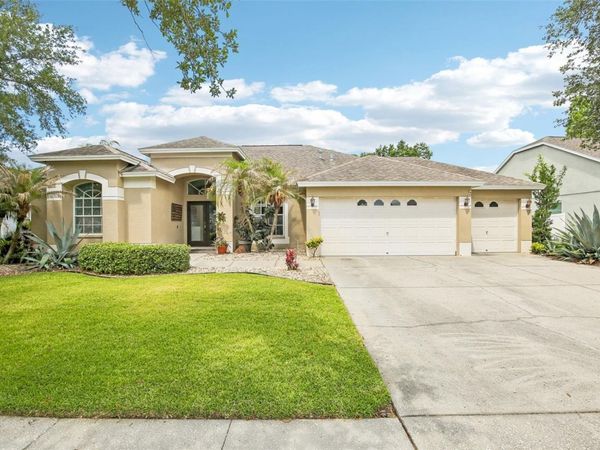 9607 BIRNAMWOOD STREET , RIVERVIEW, FL 33569