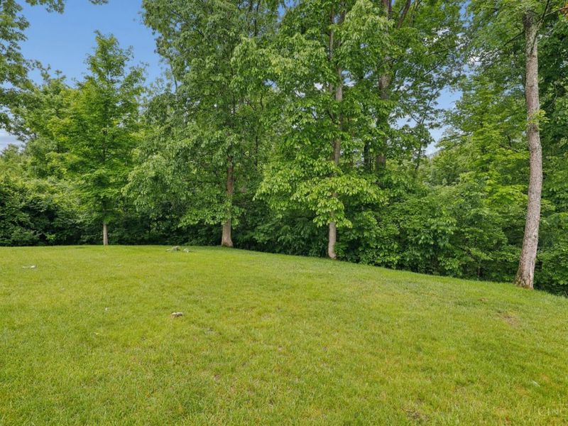 431 Trailview Court, Anderson Twp, OH 45244 Photo 43