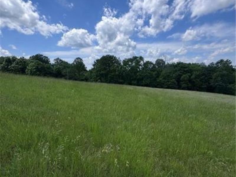 0 Johnson Ridge Road, Unit 4.641, Stockport, OH 43787 Photo 4