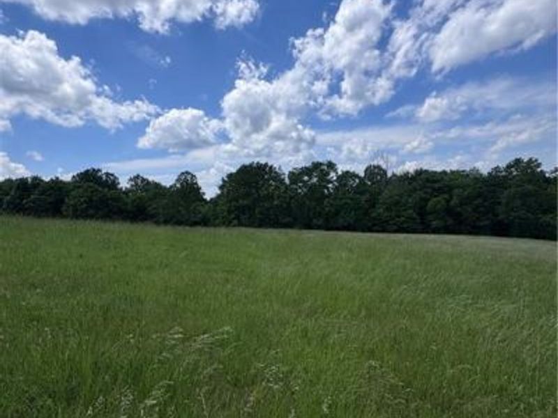 0 Johnson Ridge Road, Unit 4.641, Stockport, OH 43787 Photo 5