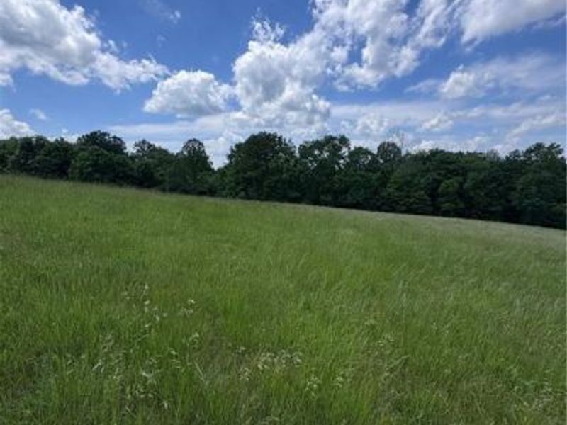 0 Johnson Ridge Road, Unit 4.641, Stockport, OH 43787 Photo 6