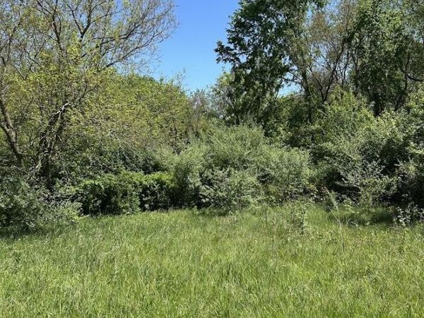 11630 Greenlawn Drive, Jerome, MI 49249